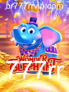 Explorando o Mundo de WonderElephant: Uma Jornada Fascinante